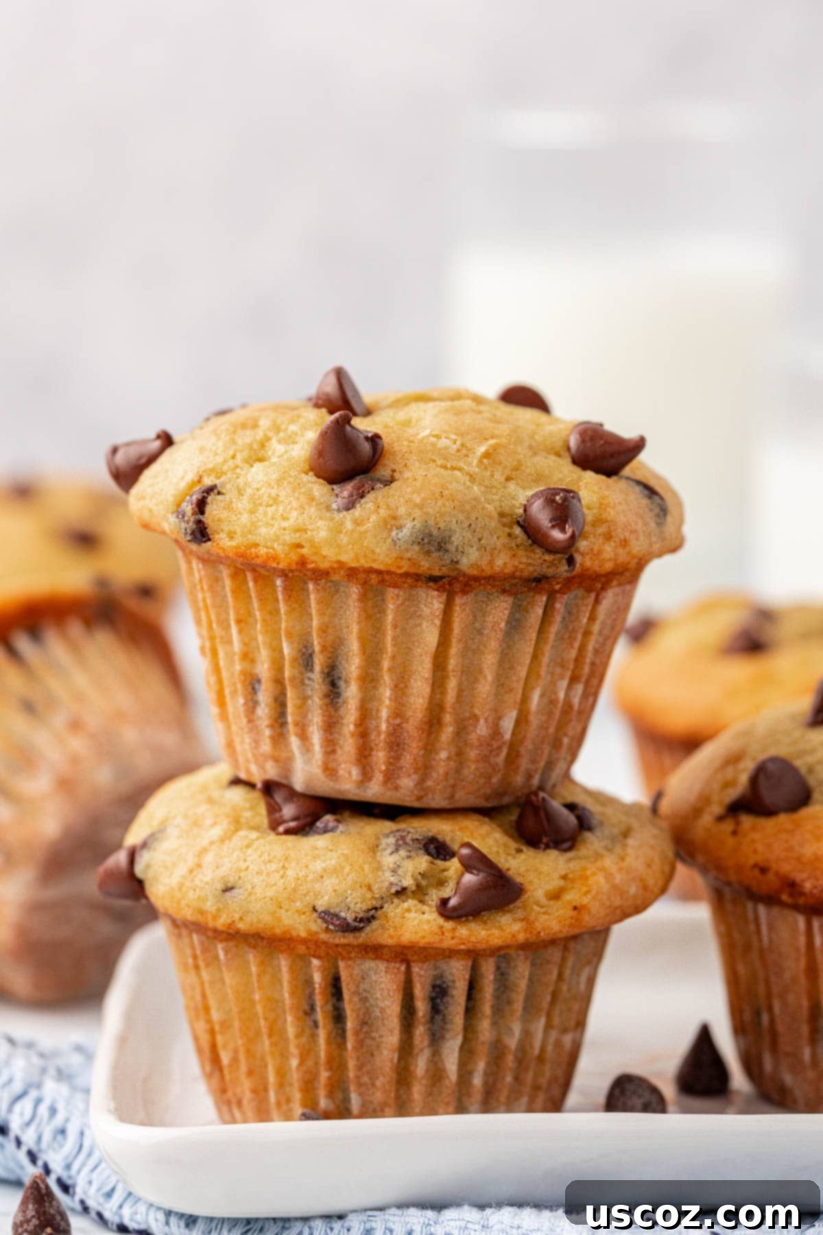 Bakery-Style Chocolate Chip Muffins from a Box 2 cake mix chocolate chip muffins