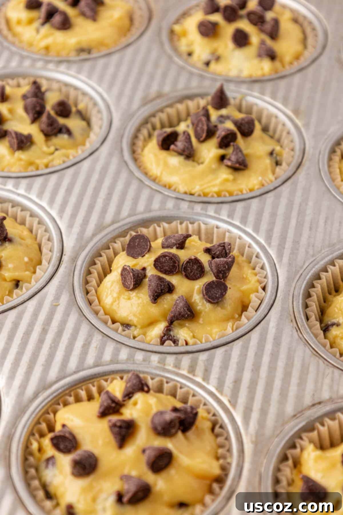 Bakery-Style Chocolate Chip Muffins from a Box 12 muffin tin filled with batter