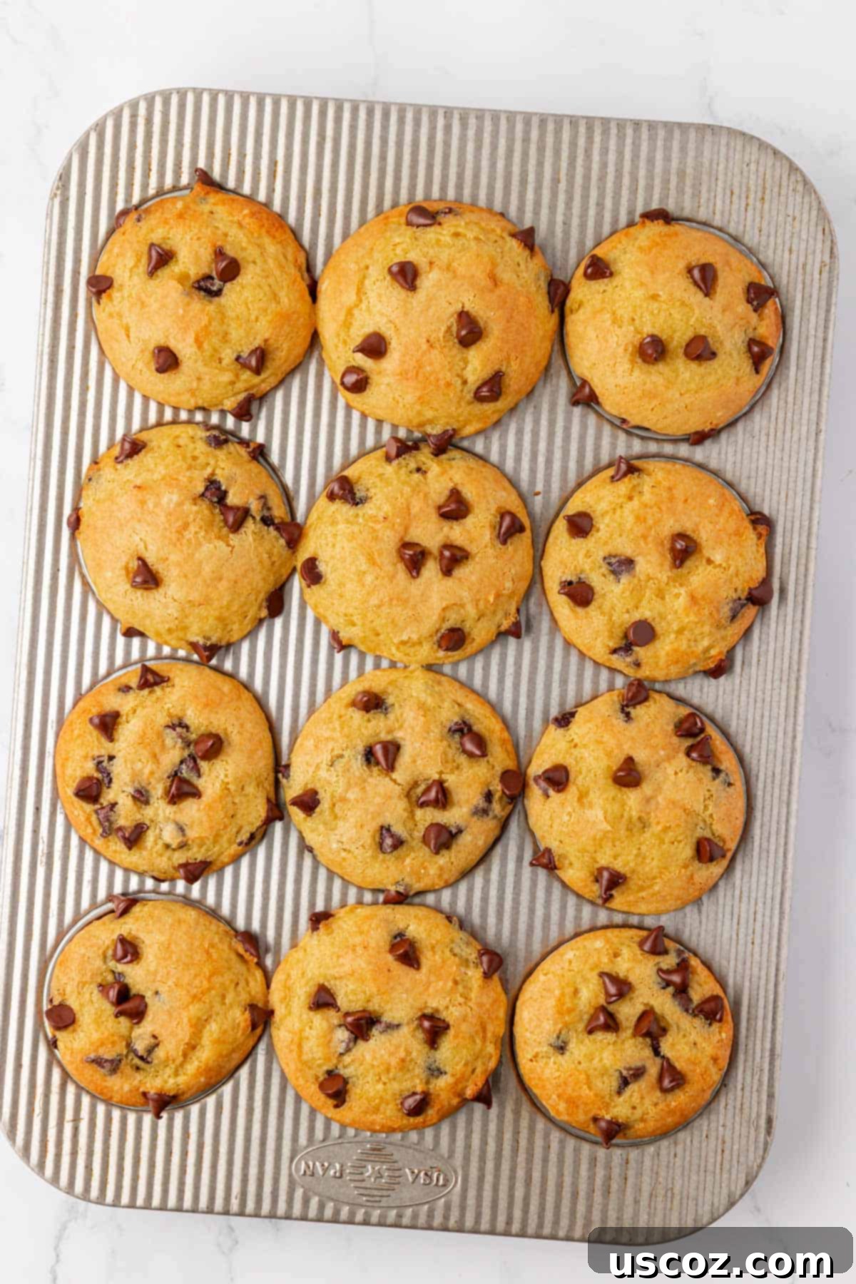 Bakery-Style Chocolate Chip Muffins from a Box 13 cake mix chocolate chip muffins