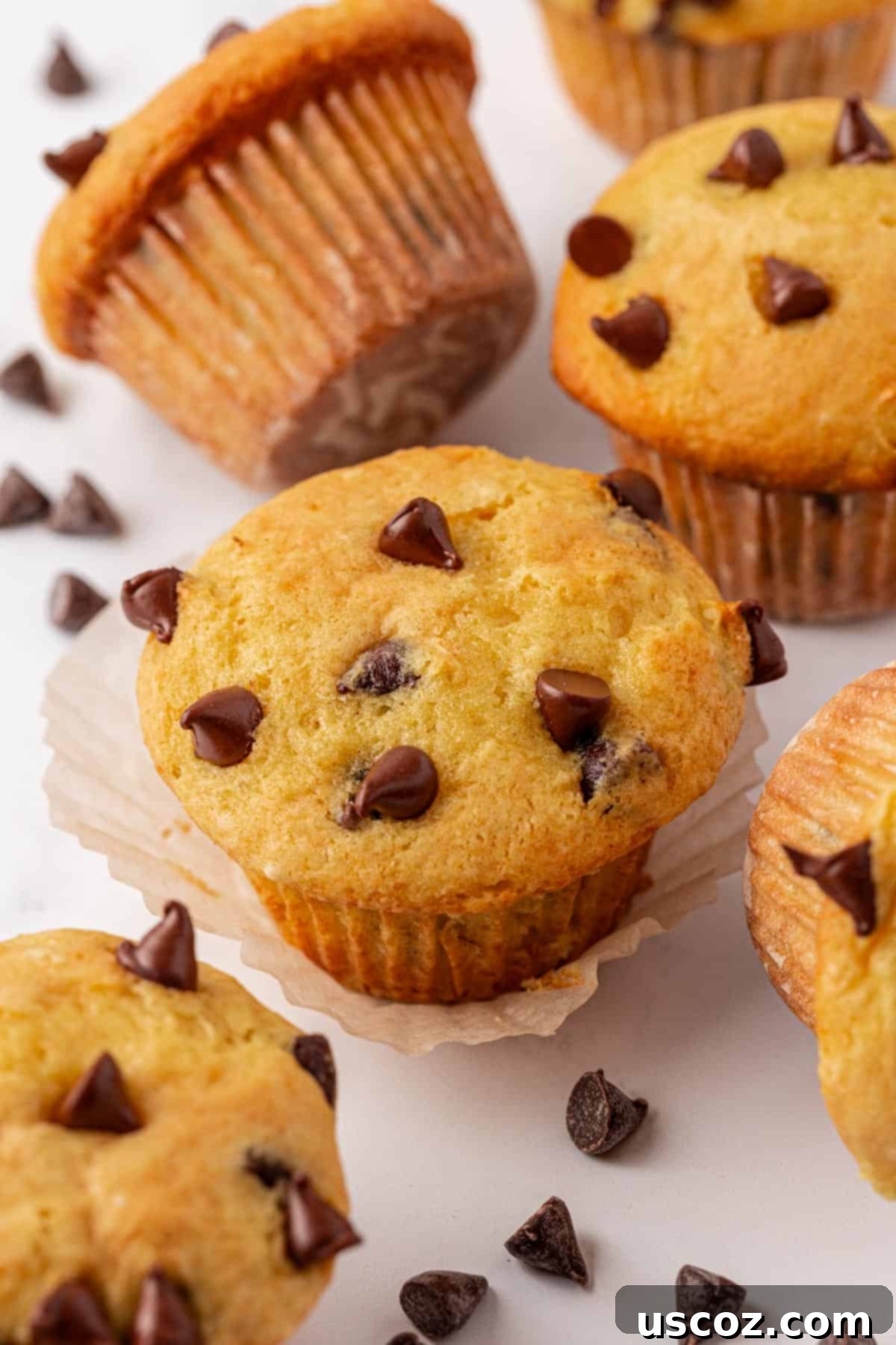 Bakery-Style Chocolate Chip Muffins from a Box 14 cake mix chocolate chip muffins