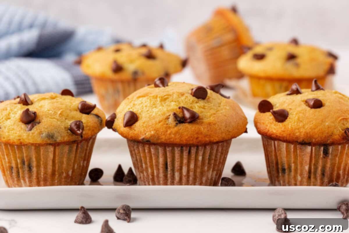 Bakery-Style Chocolate Chip Muffins from a Box 15 cake mix chocolate chip muffins