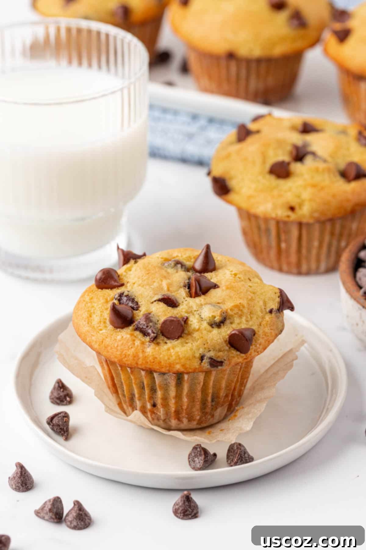 Bakery-Style Chocolate Chip Muffins from a Box 16 cake mix chocolate chip muffins