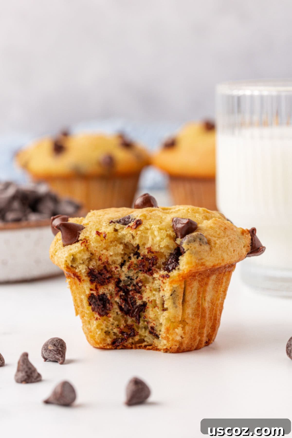Bakery-Style Chocolate Chip Muffins from a Box 17 cake mix chocolate chip muffins