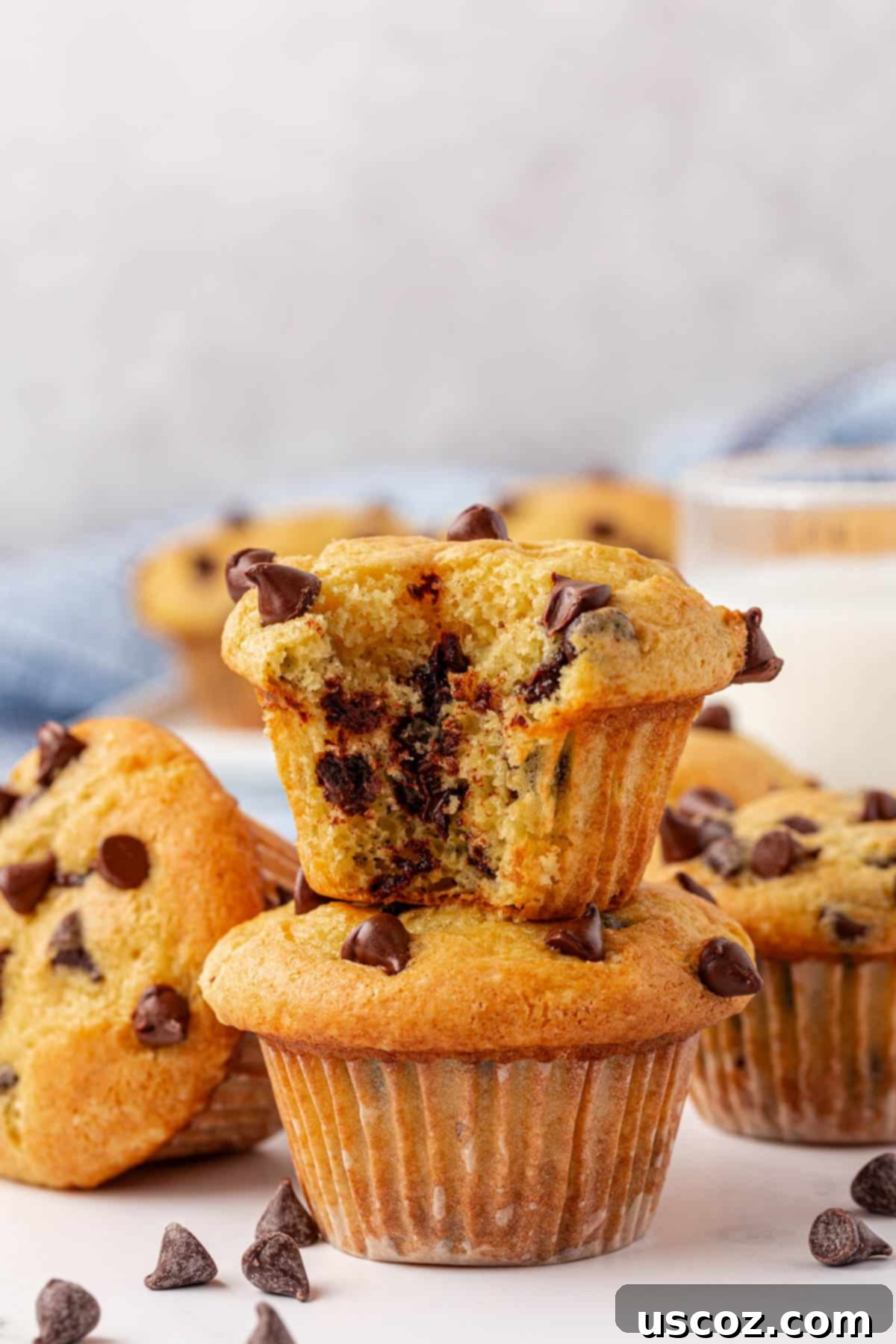 Bakery-Style Chocolate Chip Muffins from a Box 18 cake mix chocolate chip muffins