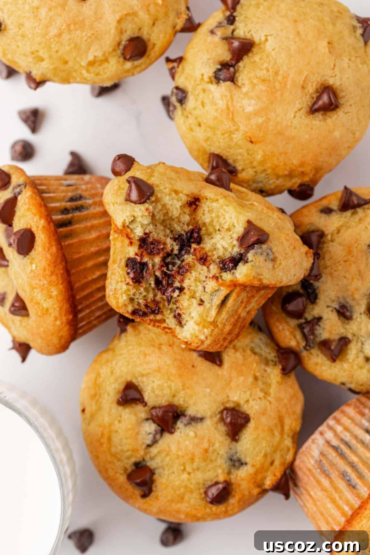 Bakery-Style Chocolate Chip Muffins from a Box 19 cake mix chocolate chip muffins