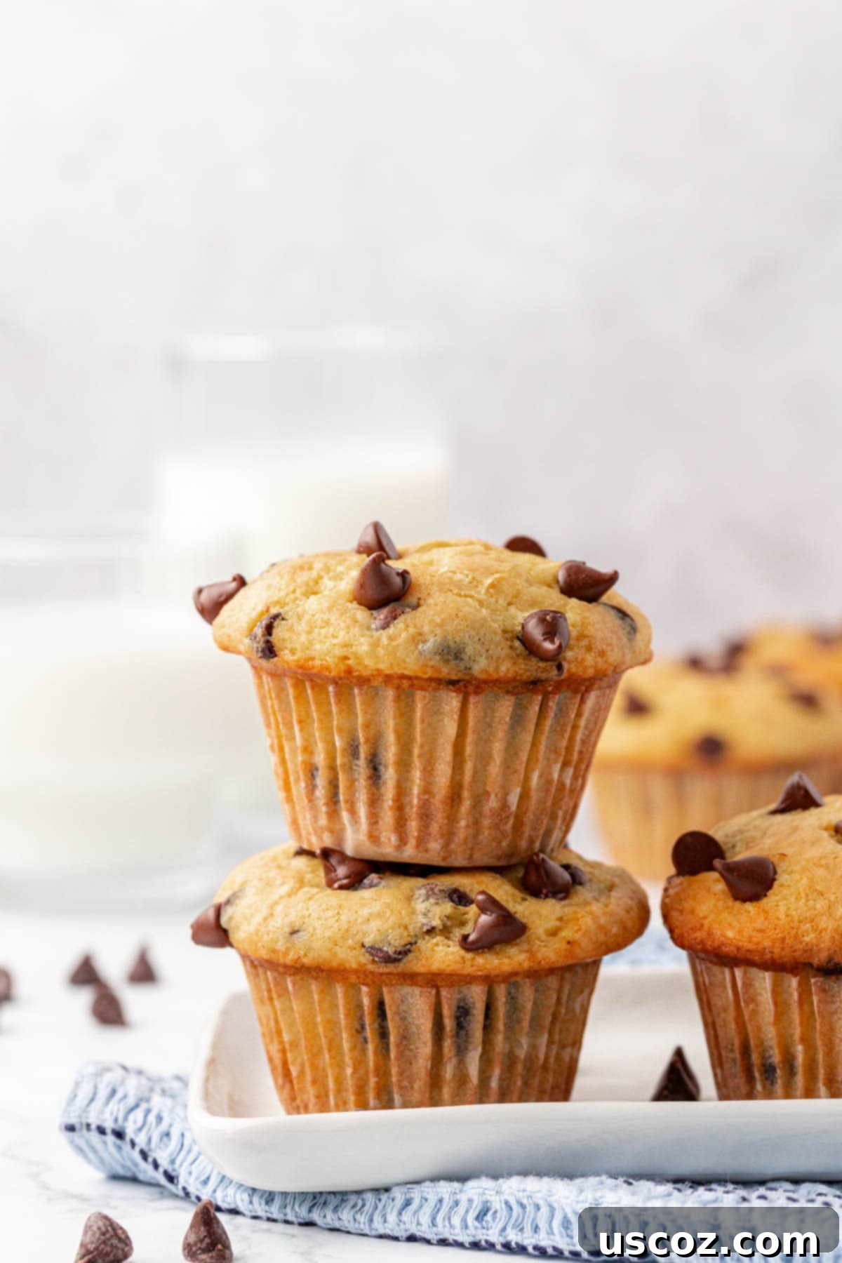 Bakery-Style Chocolate Chip Muffins from a Box 20 cake mix chocolate chip muffins