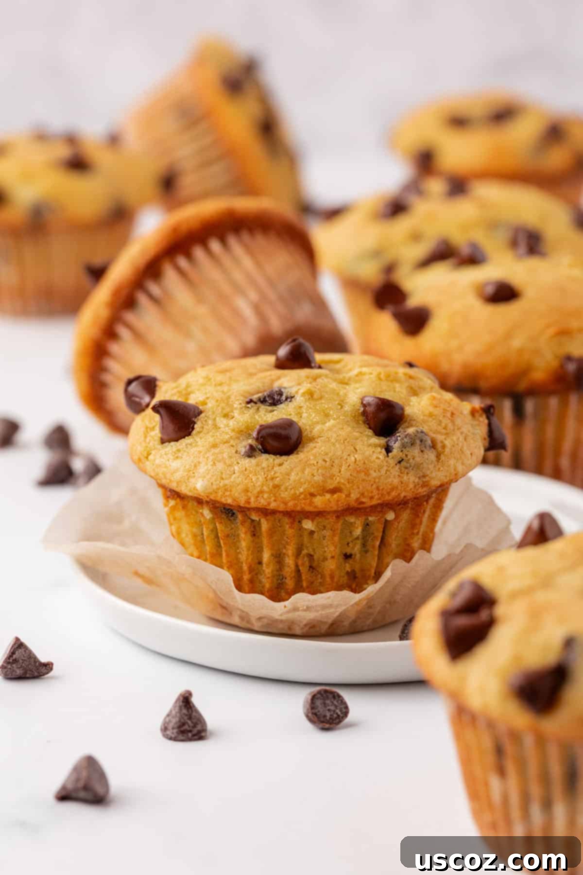Bakery-Style Chocolate Chip Muffins from a Box 3 cake mix chocolate chip muffins