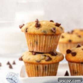 Bakery-Style Chocolate Chip Muffins from a Box 21 cake mix chocolate chip muffins