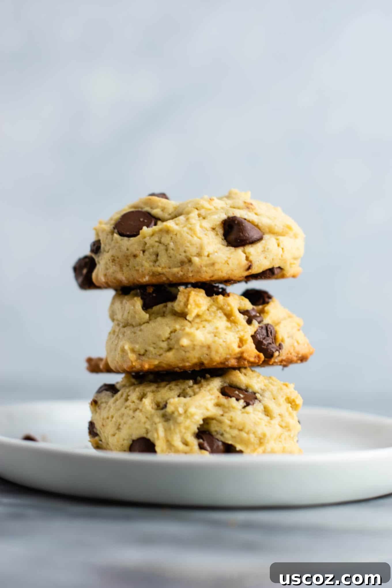 Apple-Kissed Chocolate Chip Cookies 3 A stack of soft applesauce chocolate chip cookies on a plate, highlighting their appealing texture.