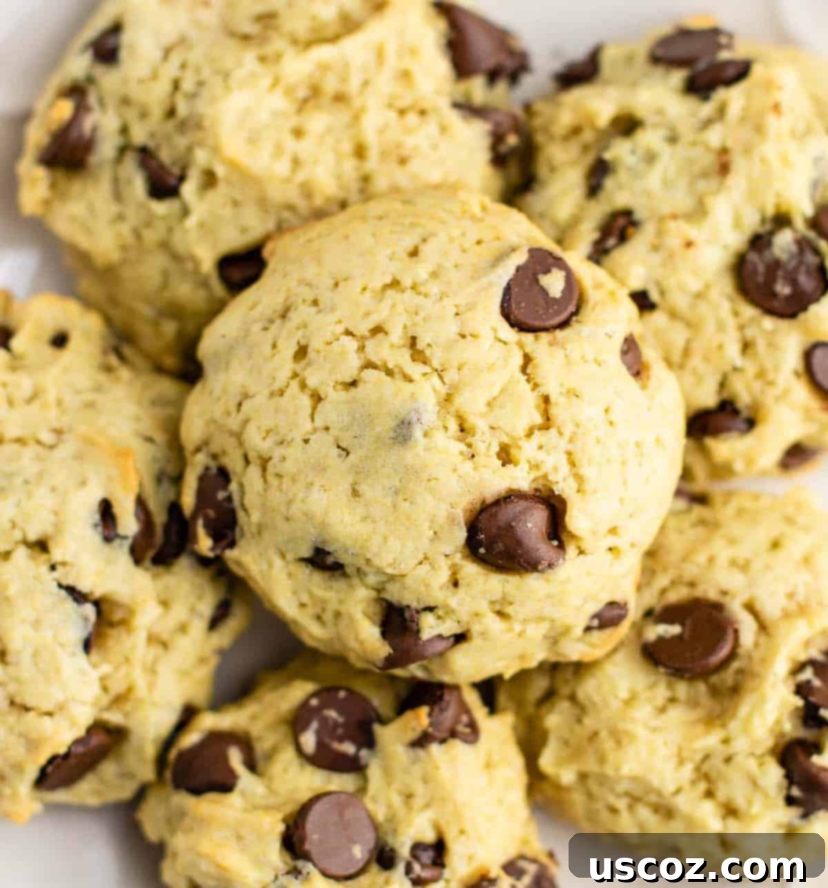Apple-Kissed Chocolate Chip Cookies 4 Close-up of applesauce chocolate chip cookies, highlighting the melted chocolate chips and soft interior.