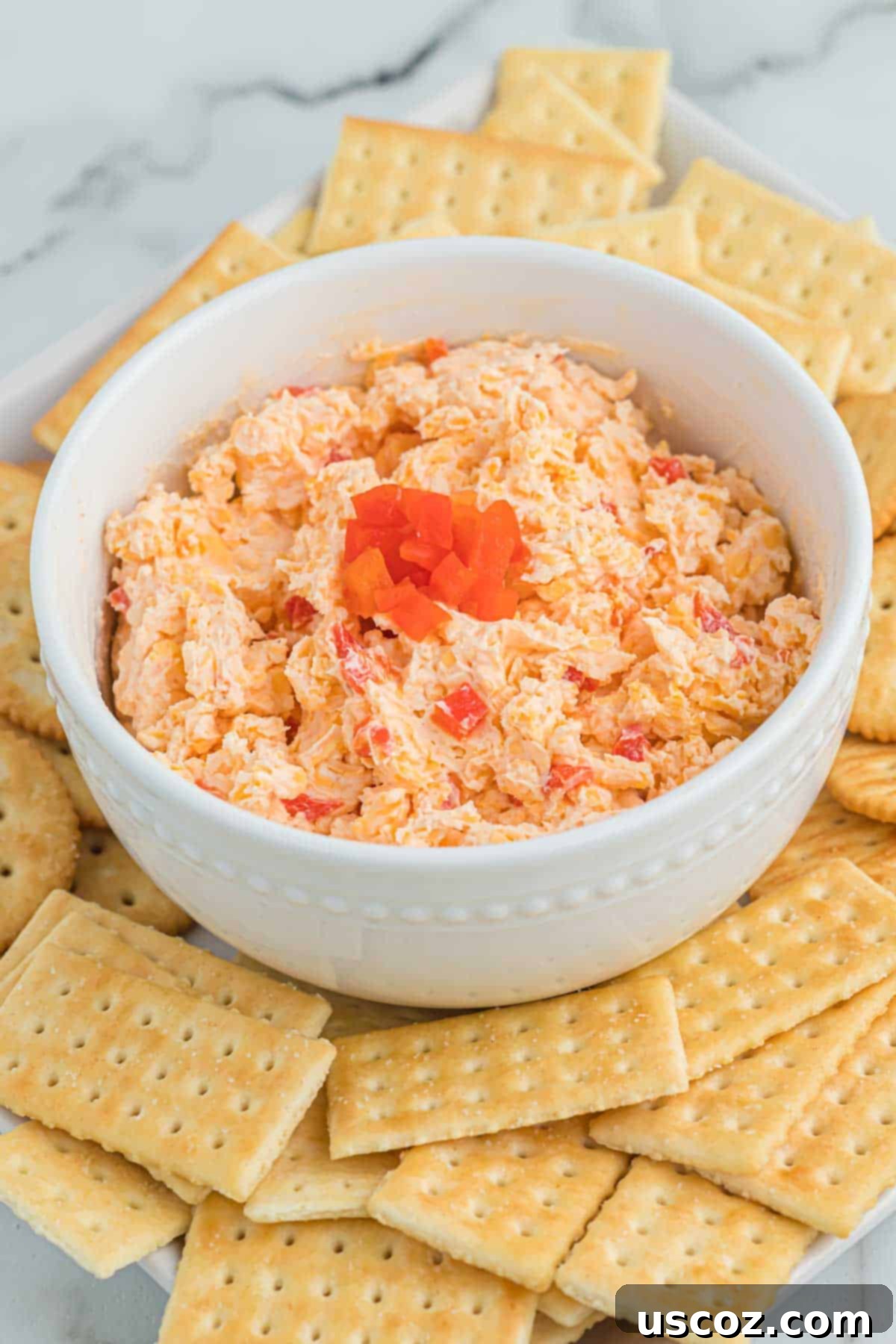 Pimento Cheese 9 A vibrant bowl of pimento cheese dip surrounded by a colorful array of crisp crackers and fresh vegetable sticks like celery and bell pepper.