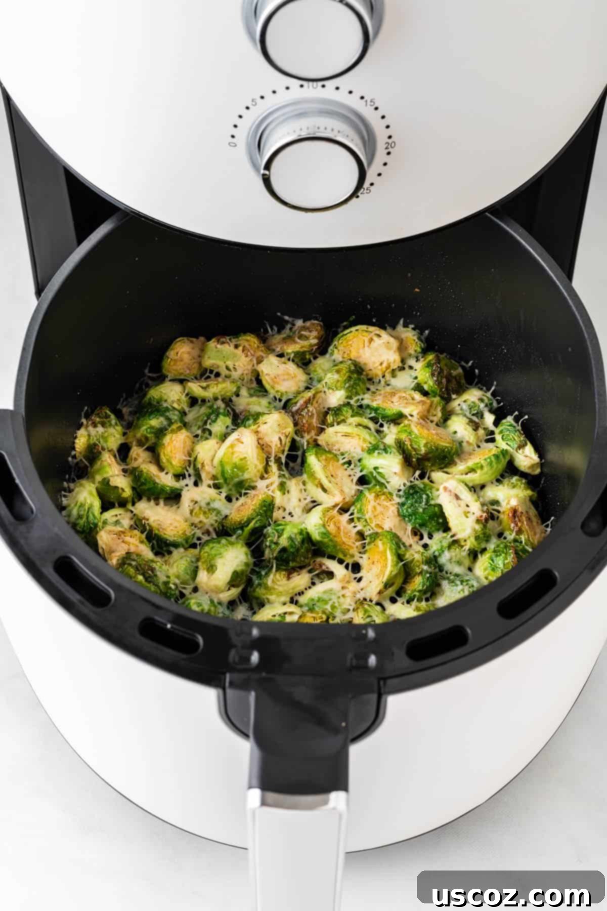 Crispy Air Fryer Brussels Sprouts 2 crispy brussels sprouts in the air fryer basket