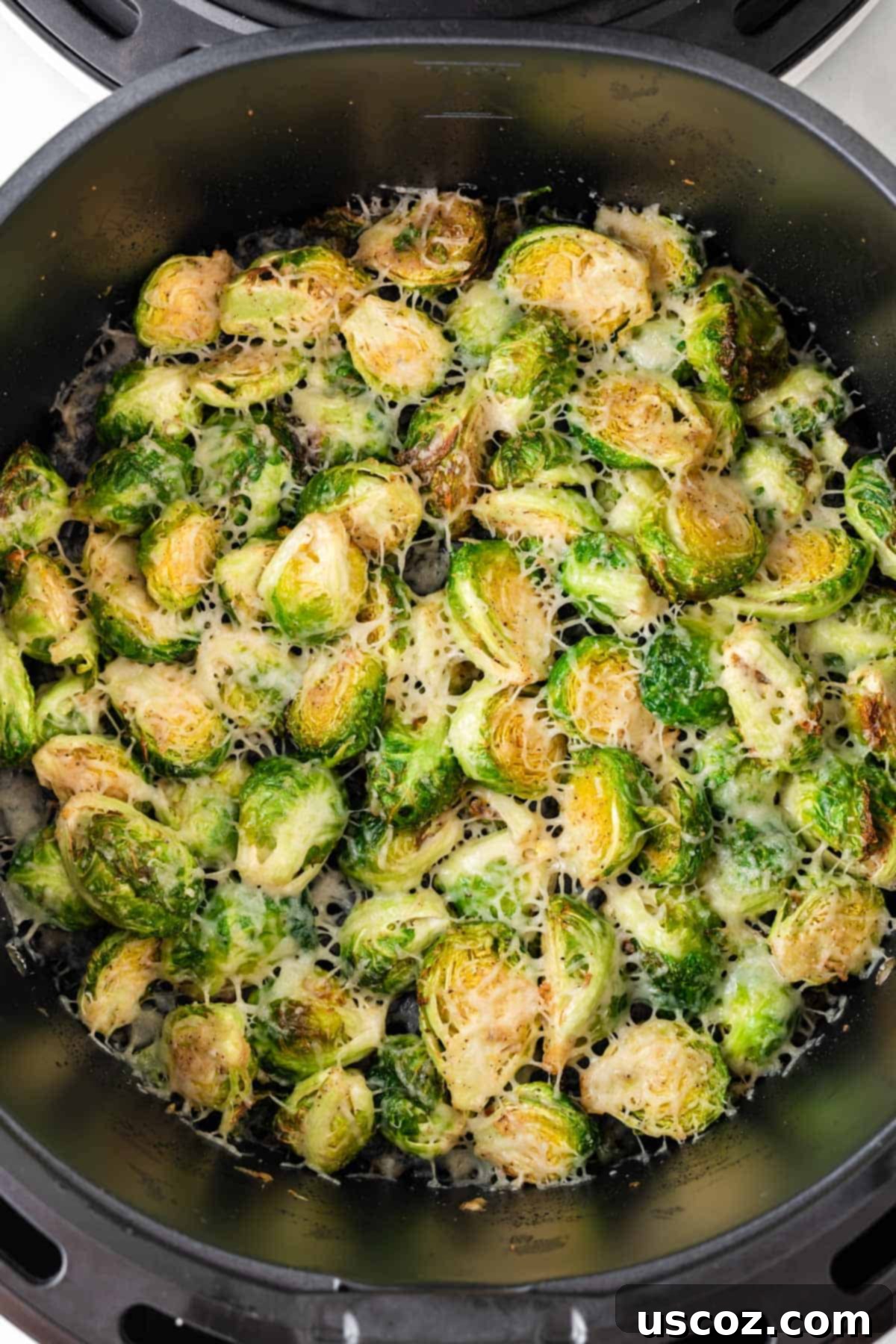 Crispy Air Fryer Brussels Sprouts 12 crispy brussels sprouts in the air fryer basket