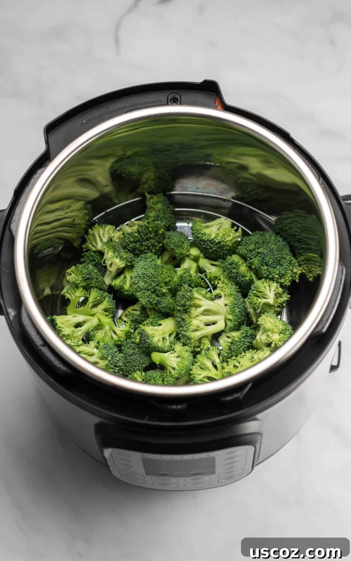 Foolproof Instant Pot Broccoli 2 broccoli florets in an instant pot