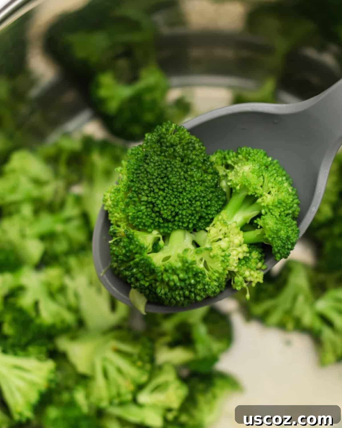 Foolproof Instant Pot Broccoli 6 spoon scooping broccoli from the instant pot