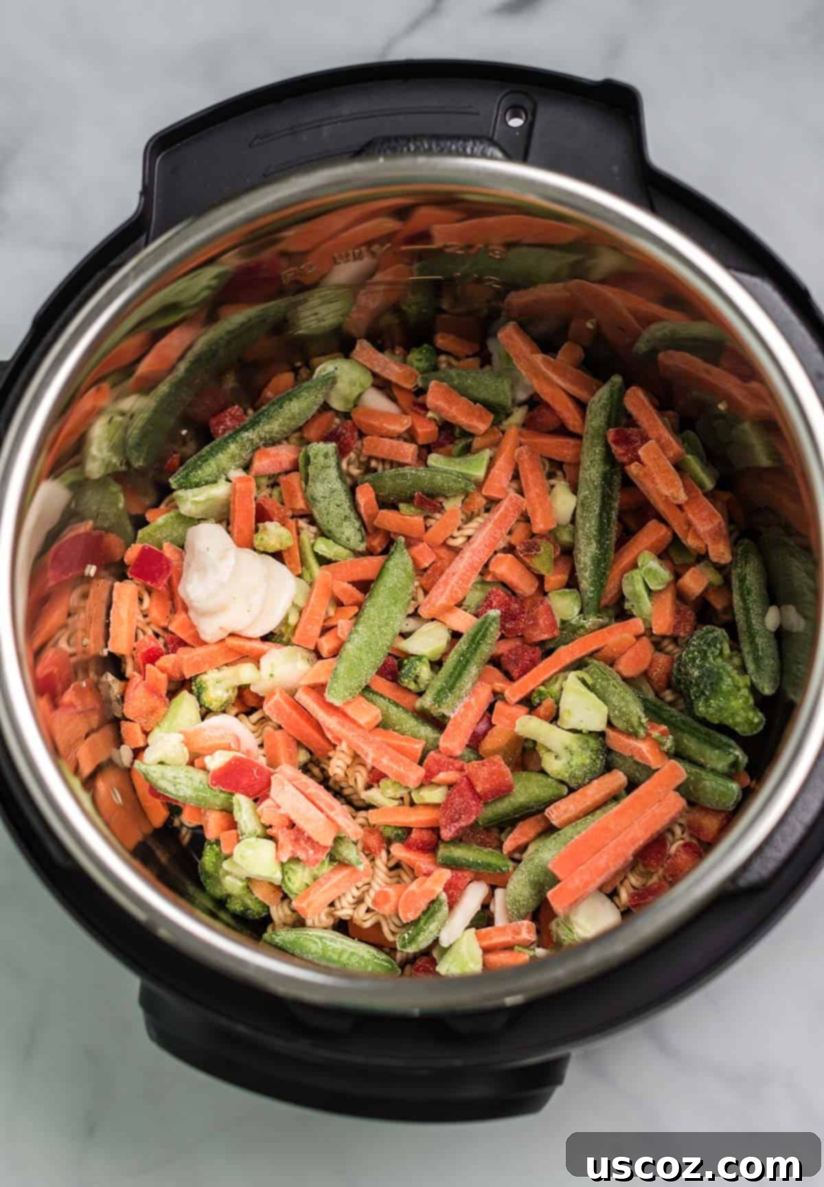 Effortless Instant Pot Stir Fry 6 frozen stir fry vegetables added to the instant pot
