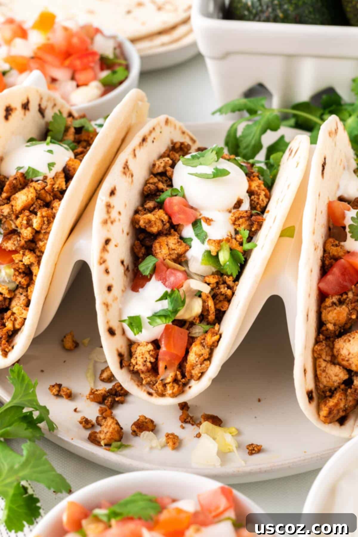 Zesty Tofu Tacos 12 tofu tacos in a taco stand