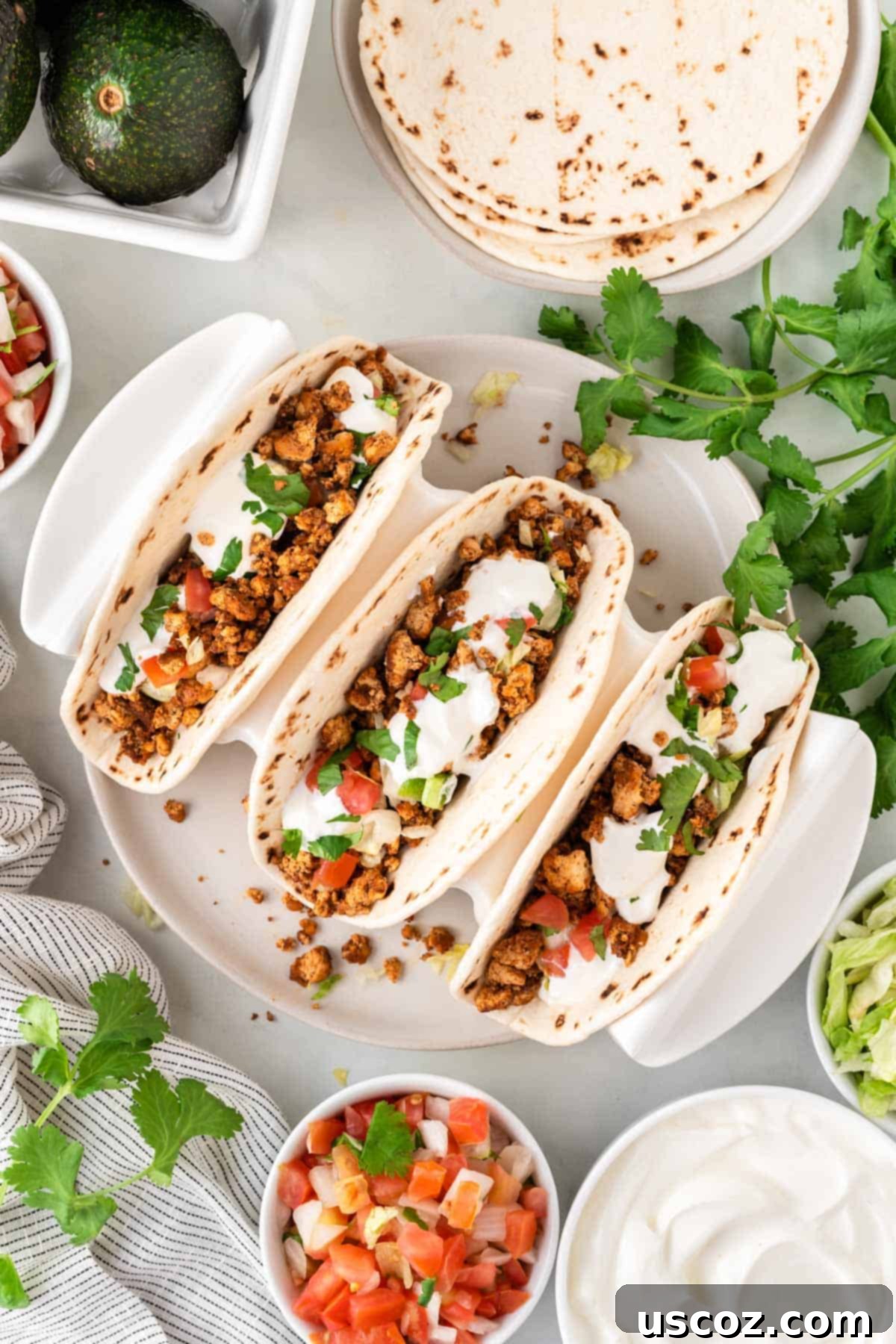 Zesty Tofu Tacos 10 tofu tacos in a taco stand