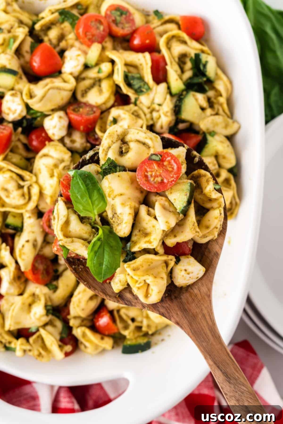 Zesty Tortellini Medley 3 serving tortellini pasta salad with a wooden spoon in a rustic bowl