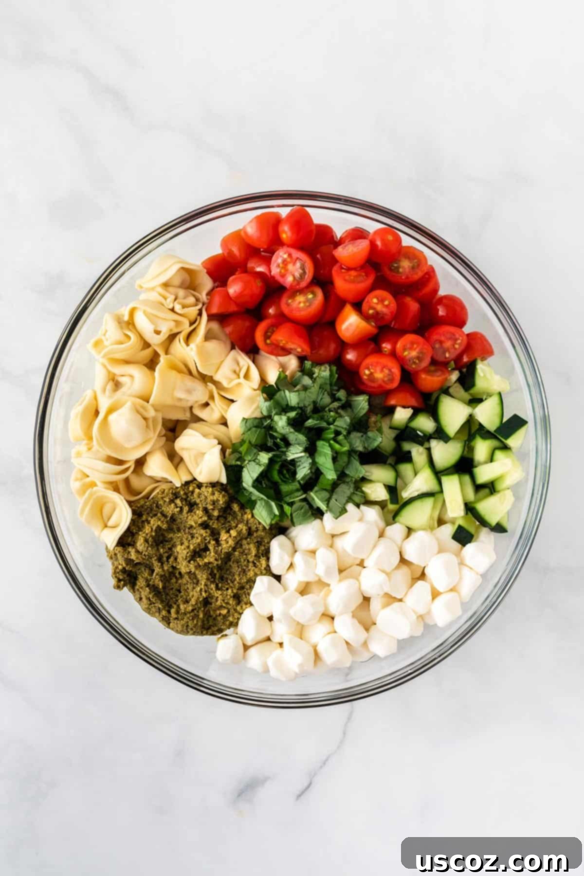 Zesty Tortellini Medley 6 tortellini, pesto, tomatoes, cucumbers, basil, and mozzarella in a bowl before mixing