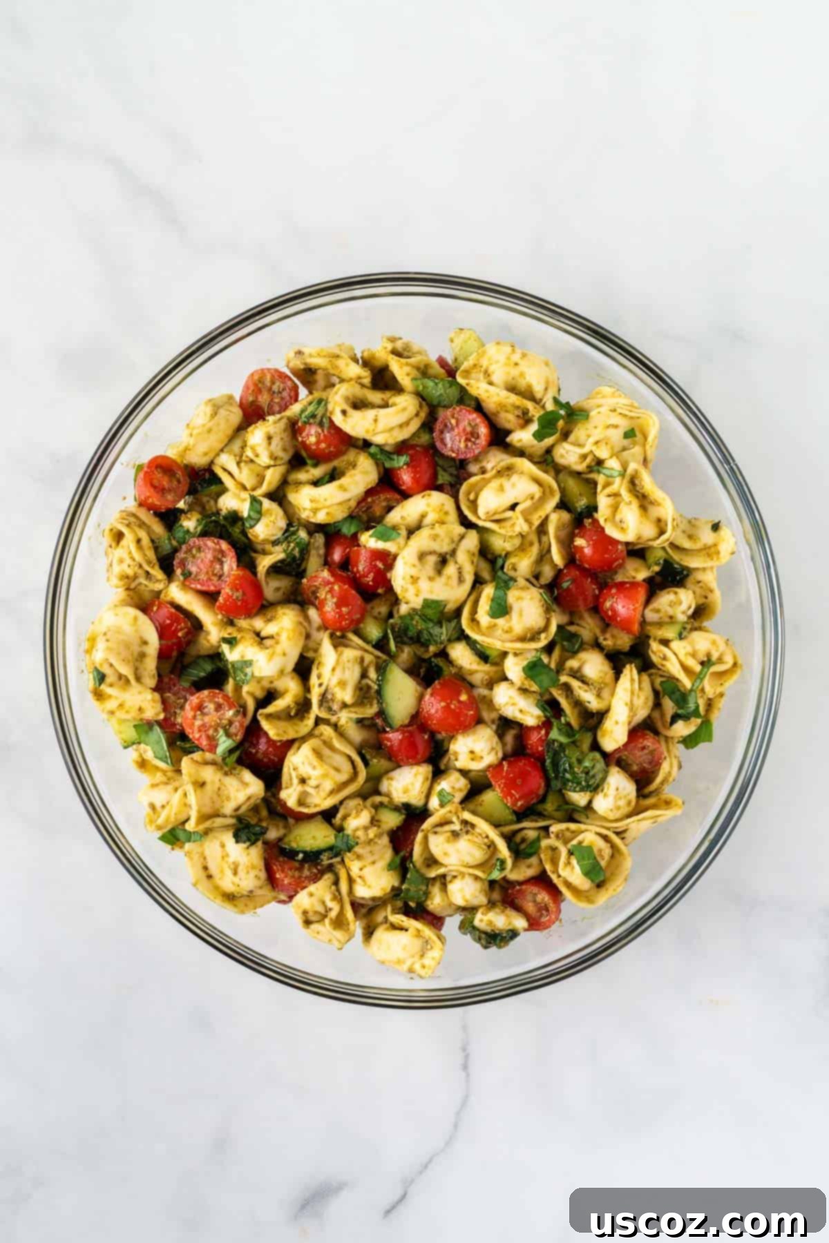 Zesty Tortellini Medley 7 tortellini pasta salad mixed together in a large bowl
