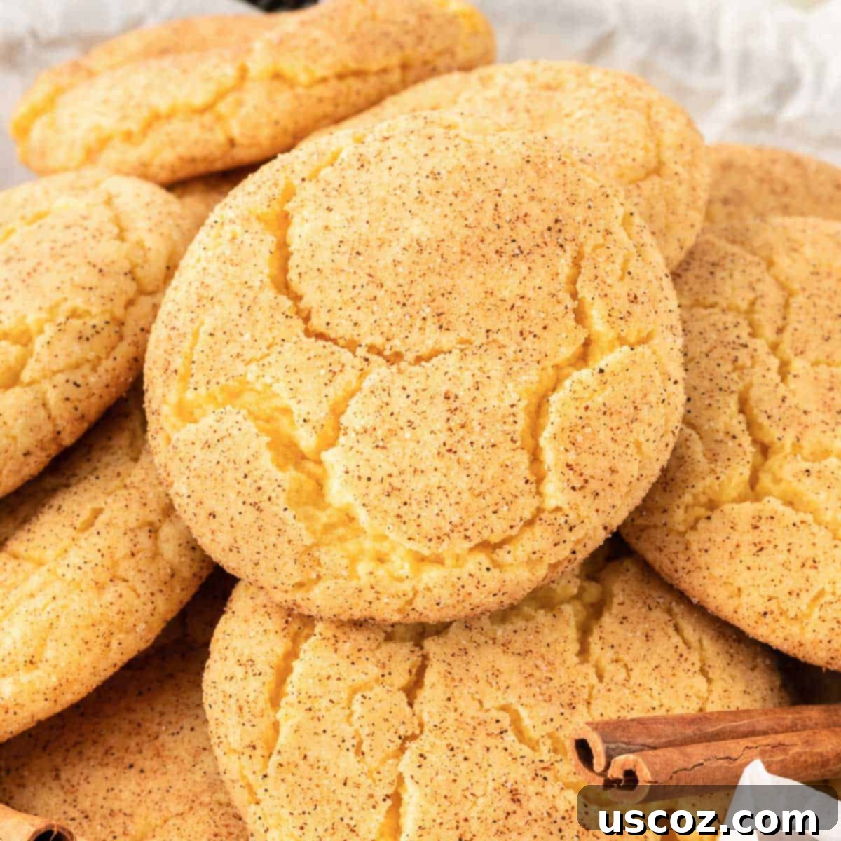 Effortless Cake Mix Snickerdoodles 2 Delicious freshly baked cake mix snickerdoodles on a plate, dusted with cinnamon sugar