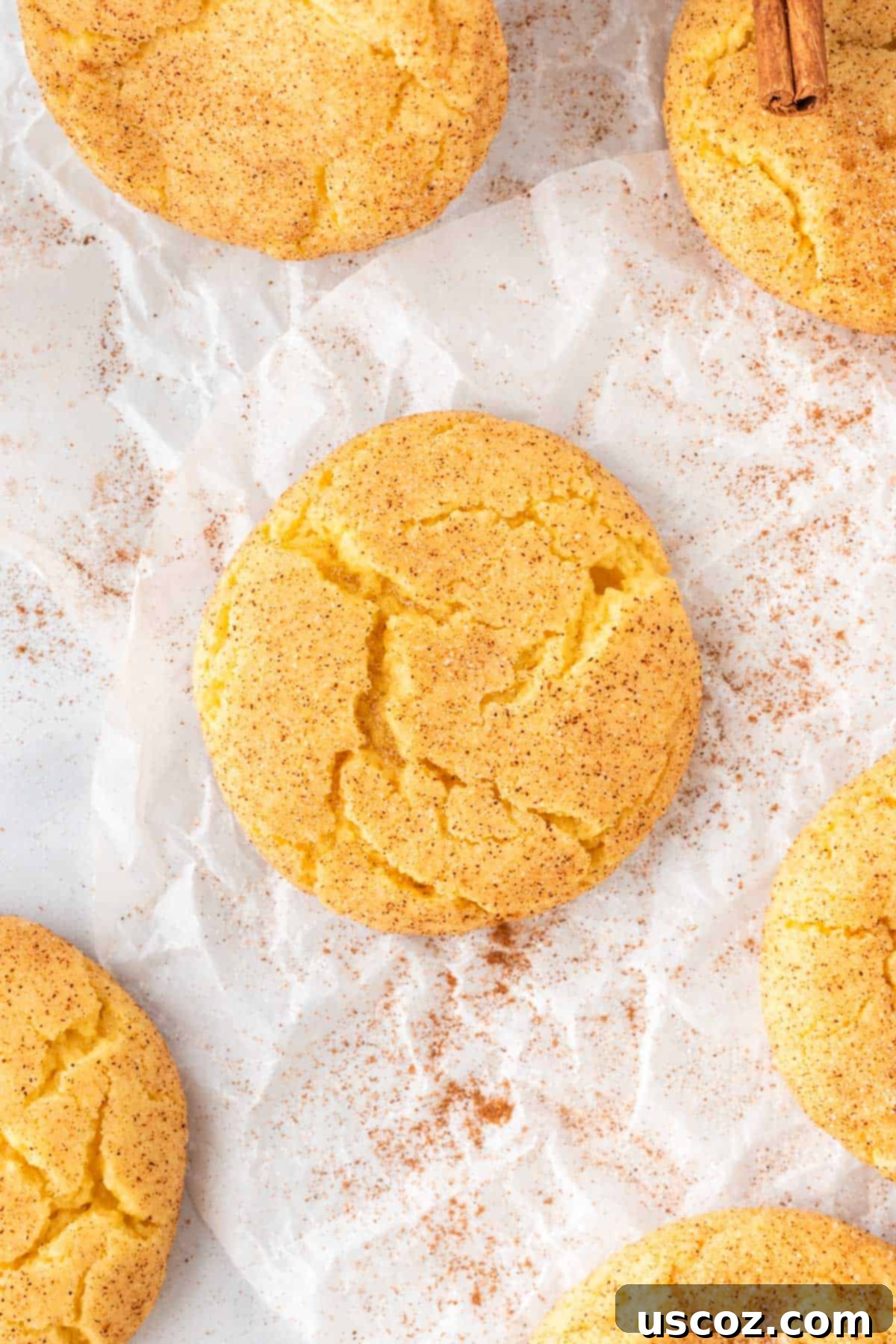 Effortless Cake Mix Snickerdoodles 13 A single cake mix snickerdoodle cookie with a perfect cracked top, resting on parchment paper