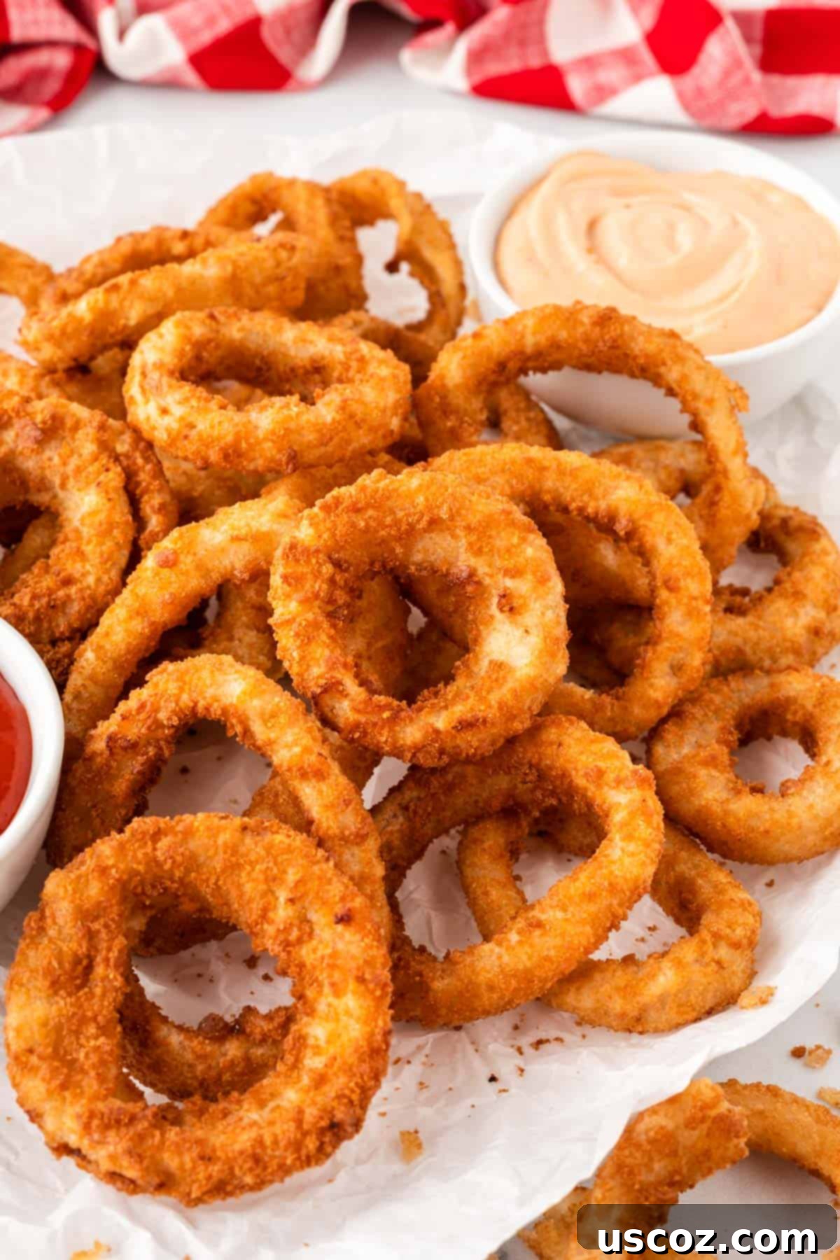 Crispy Air Fryer Frozen Onion Rings 9 onion rings