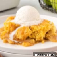 Effortless Apple Cobbler 17 apple cobbler on a plate with a scoop of ice cream on top