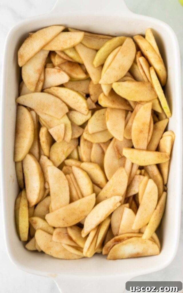 Effortless Apple Cobbler 9 Spiced apple slices spread evenly in a greased 9x13 inch baking dish, forming the base of the cobbler.