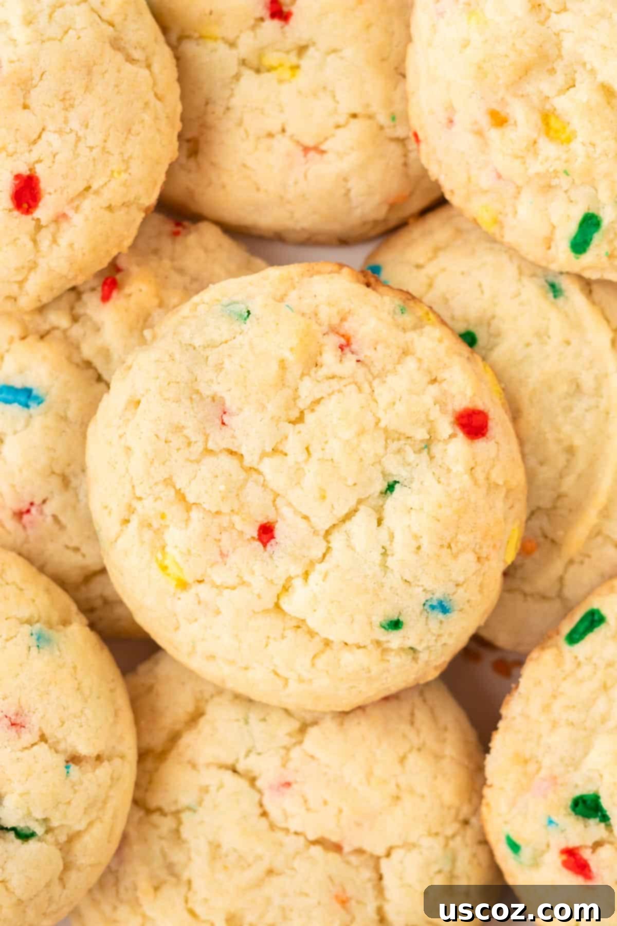Effortless Rainbow Cake Cookies 11 A close-up of a single cake mix funfetti sprinkle cookie, highlighting the colorful sprinkles embedded in its soft texture.