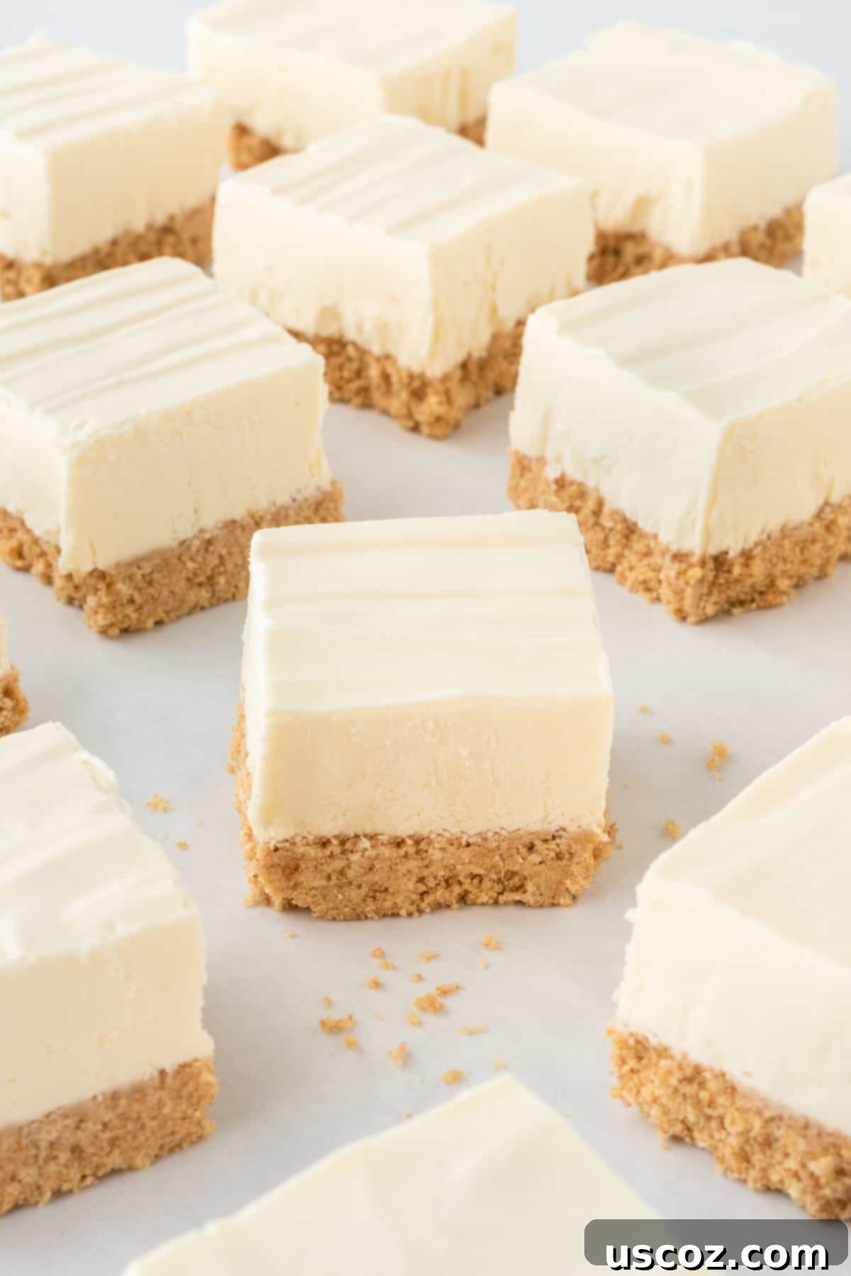Creamy No-Bake Cheesecake Bliss 19 delicious no bake cheesecake bars garnished with fruit
