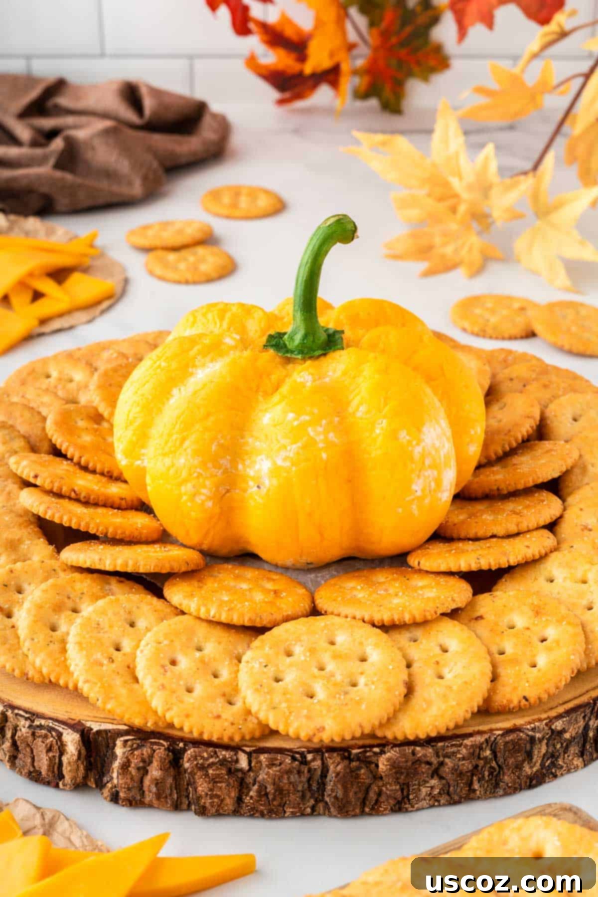 Spiced Pumpkin Cheese Ball 2 pumpkin shaped cheese ball surrounded by crackers for dipping