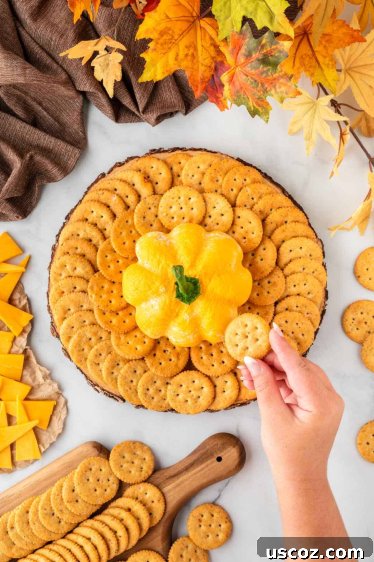 Spiced Pumpkin Cheese Ball 15 cheese ball platter with crackers for dipping