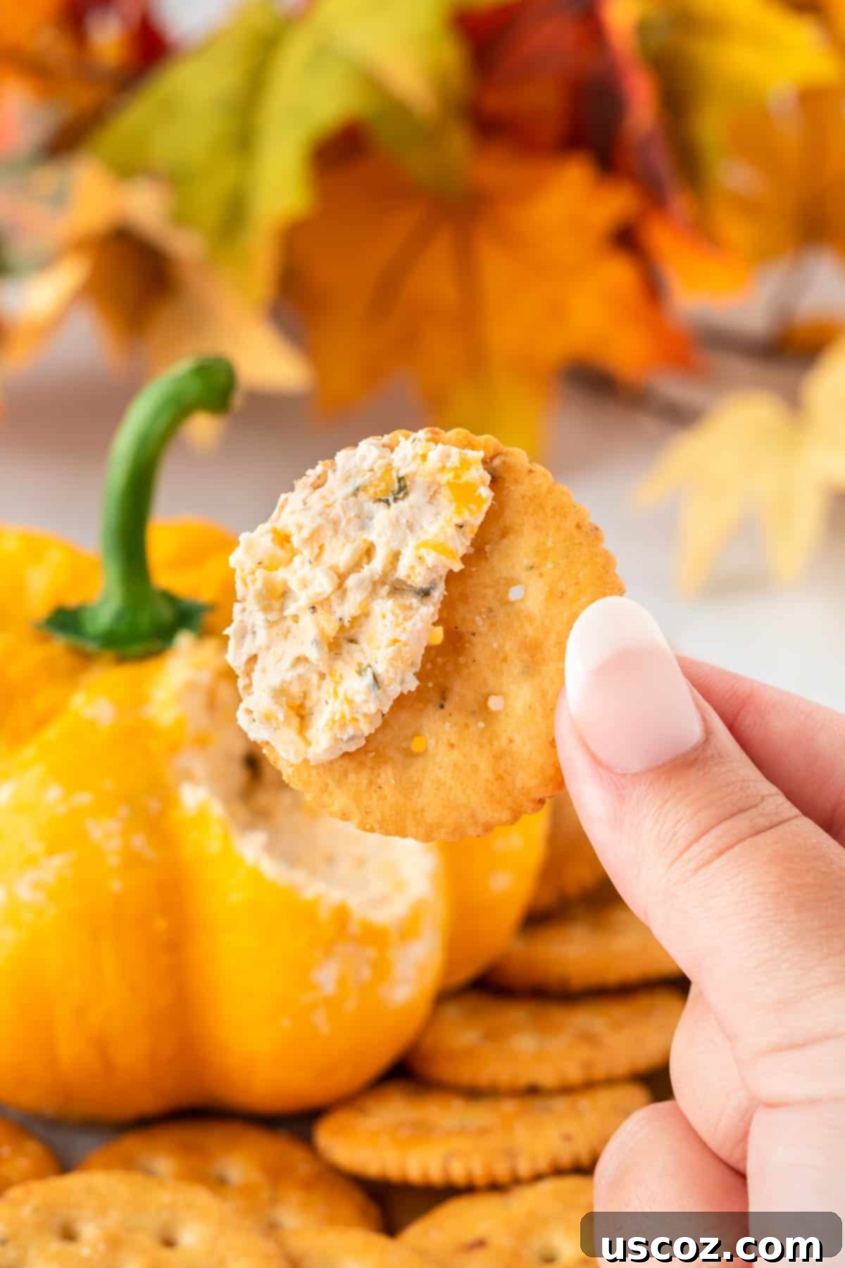 Spiced Pumpkin Cheese Ball 16 cheese ball dip on a cracker