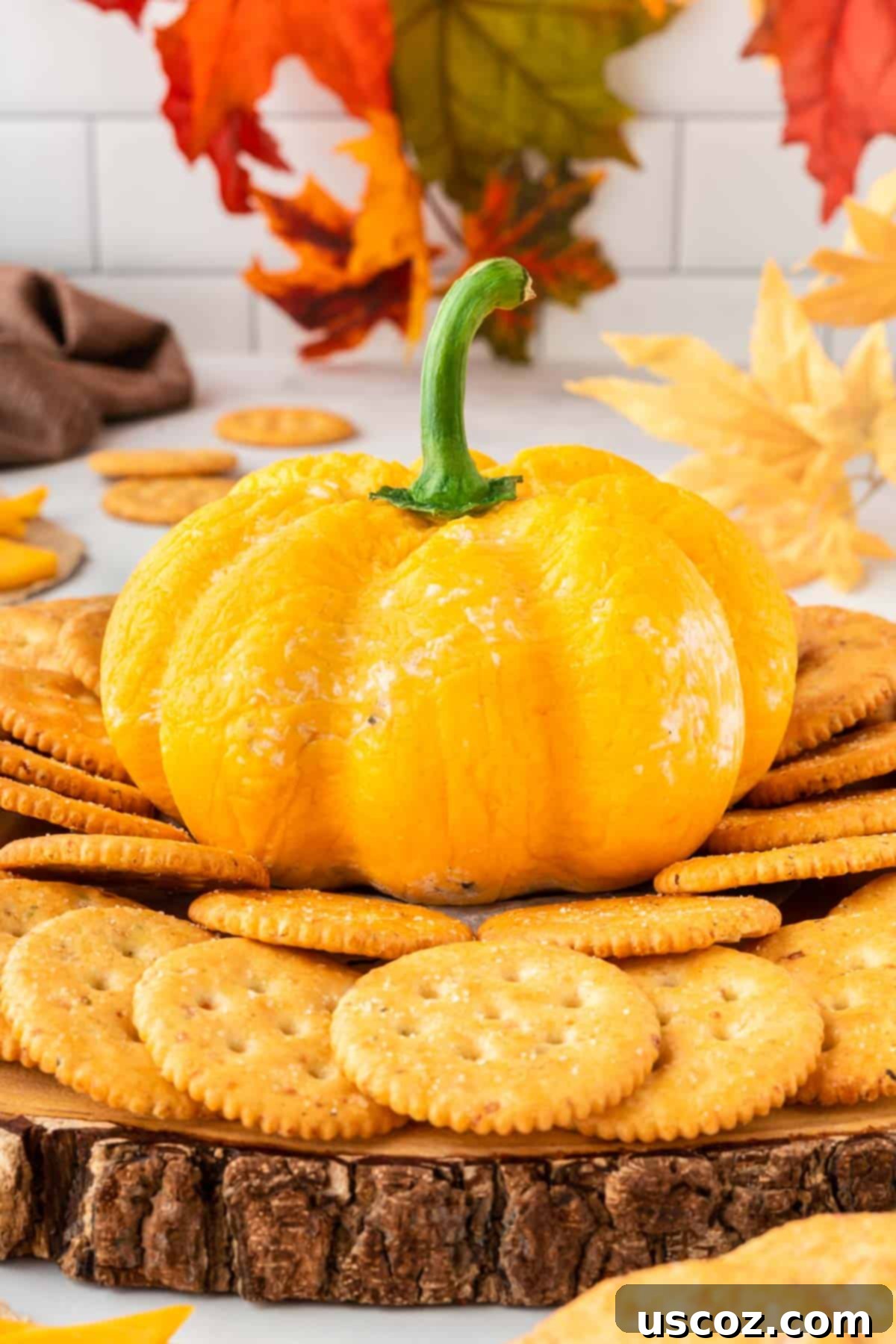 Spiced Pumpkin Cheese Ball 17 pumpkin shaped cheese ball surrounded by crackers for dipping