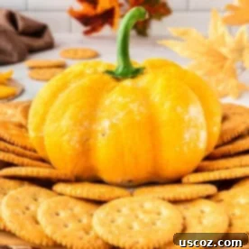 Spiced Pumpkin Cheese Ball 18 Pumpkin Cheese Ball with Crackers