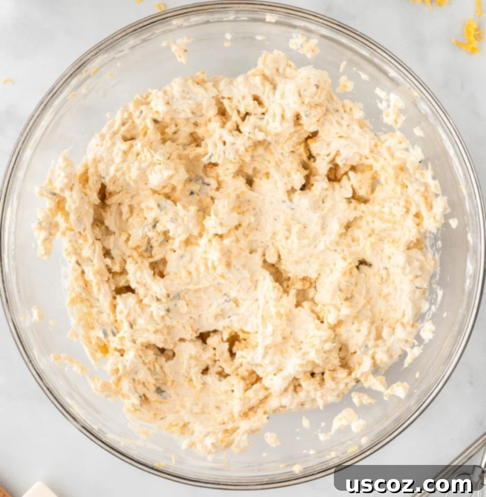Spiced Pumpkin Cheese Ball 6 cheese ball filling