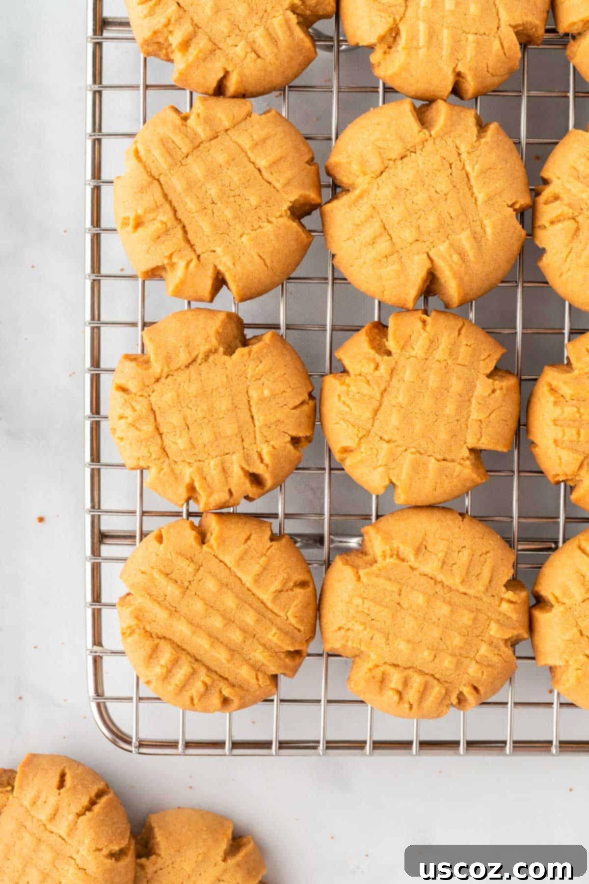 Easy Cake Mix Peanut Butter Cookies 12 A batch of freshly baked peanut butter cookies cooling on a wire rack, ready to be enjoyed.