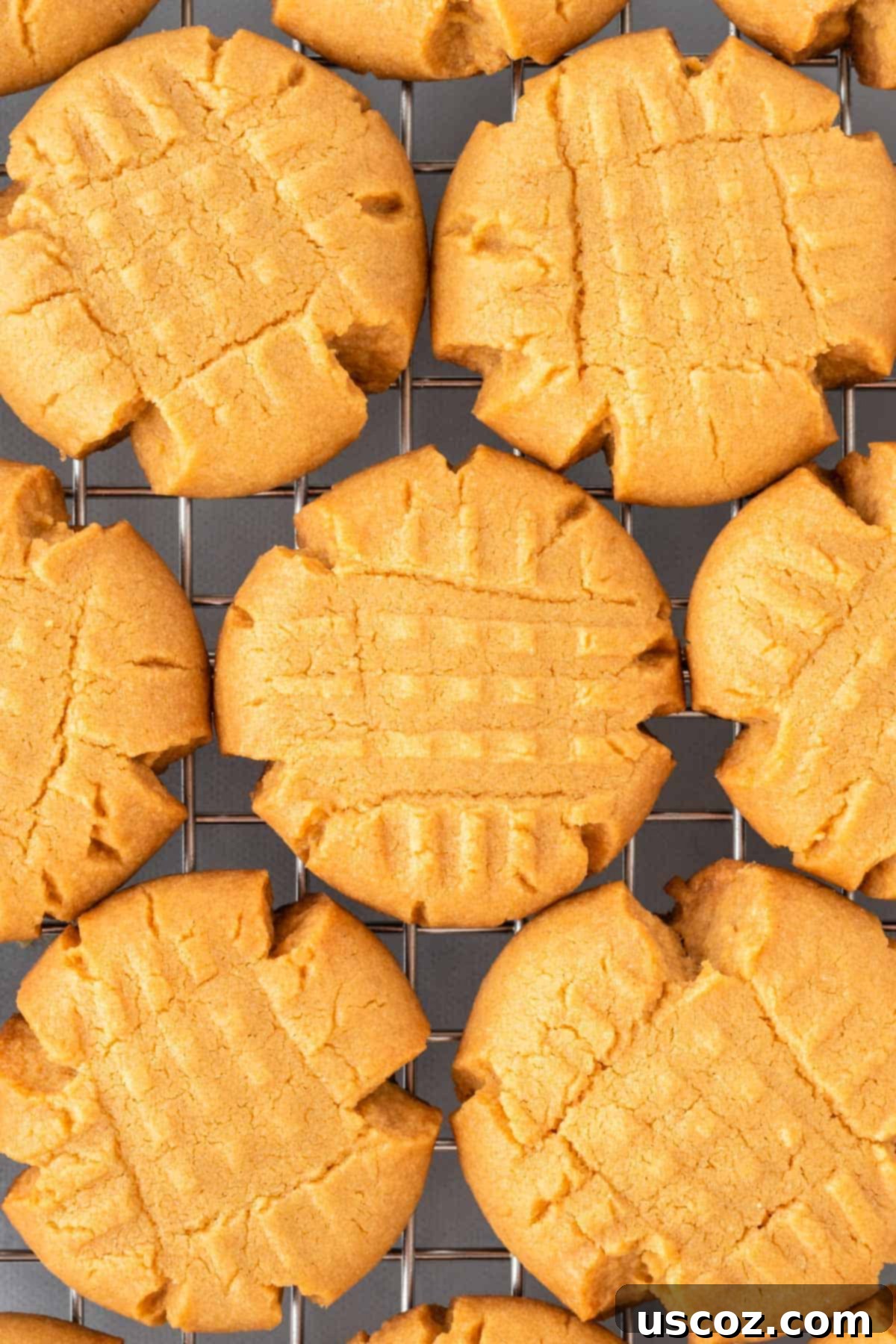 Easy Cake Mix Peanut Butter Cookies 3 Baked peanut butter cookies resting on a wire cooling rack after coming out of the oven.