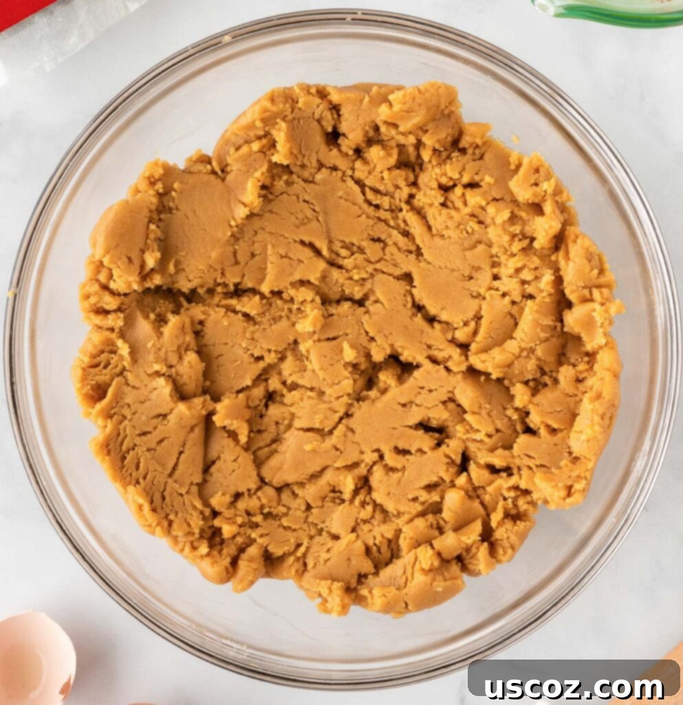 Easy Cake Mix Peanut Butter Cookies 8 The completed peanut butter cookie batter, thick and ready for shaping, in a mixing bowl.