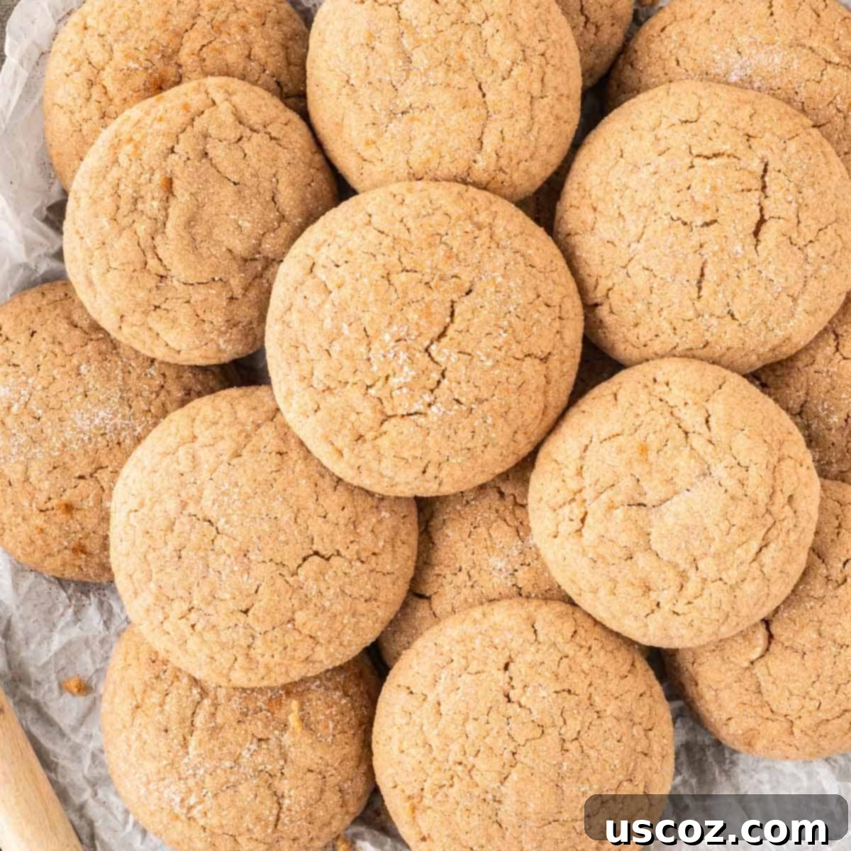 Quick Cake Mix Spice Cookies 2 Close-up of freshly baked cake mix spice cookies, with a dusting of sugar, stacked neatly.