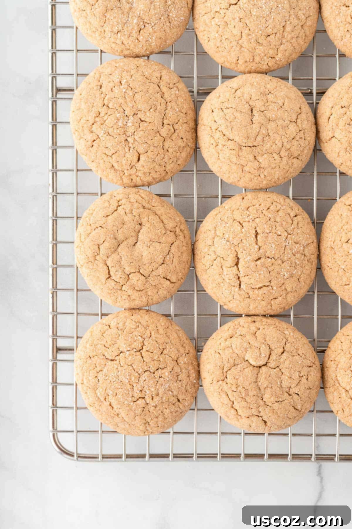 Quick Cake Mix Spice Cookies 10 Warm cake mix spice cookies cooling on a wire rack after baking.