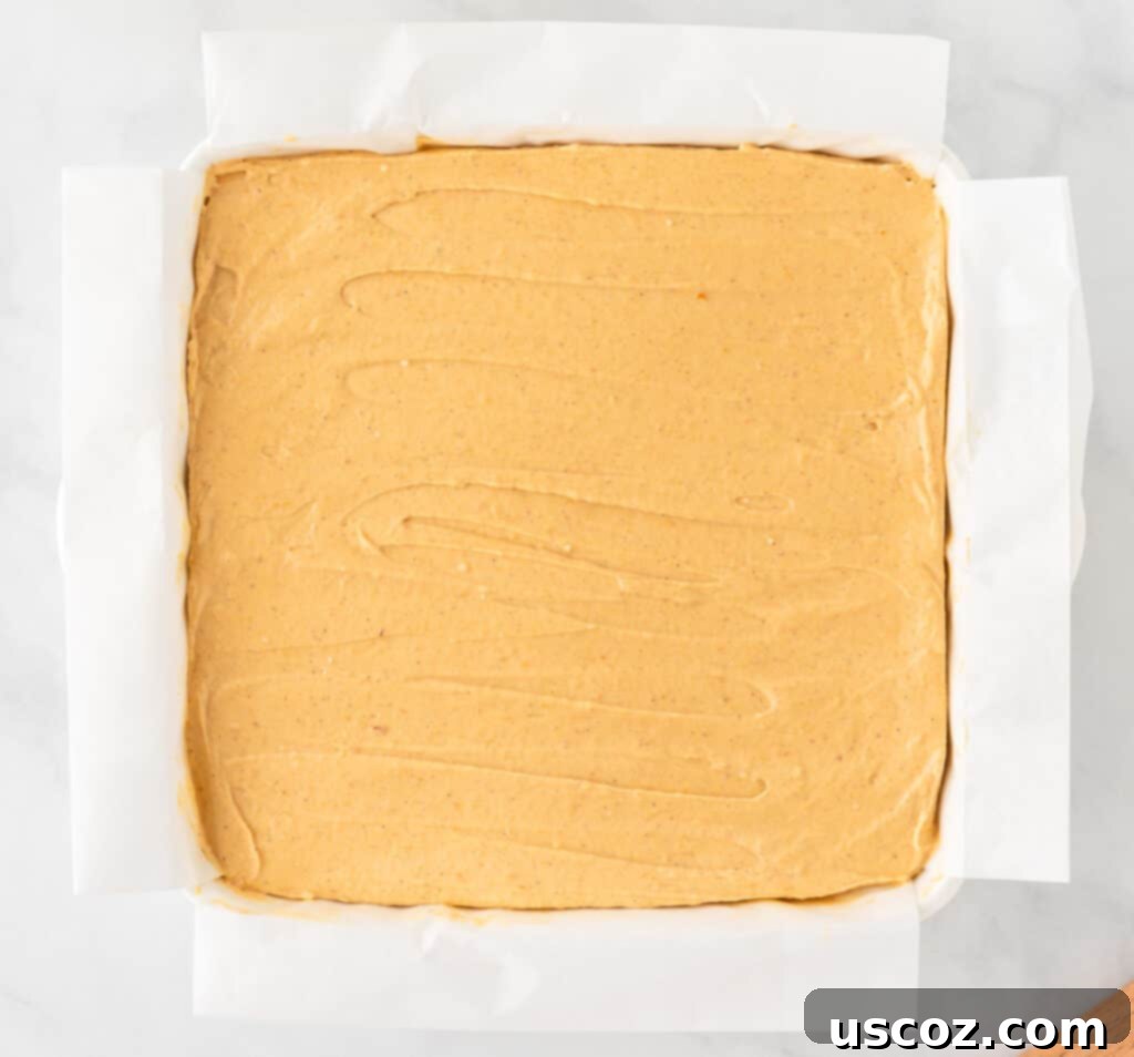 Easy No-Bake Pumpkin Cheesecake Bars 15 the creamy pumpkin cheesecake filling poured over the graham cracker crust in a baking dish