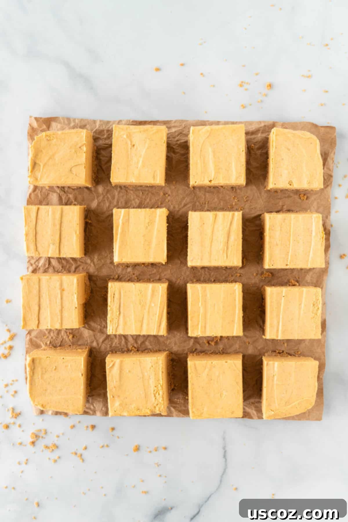 Easy No-Bake Pumpkin Cheesecake Bars 16 chilled pumpkin cheesecake bars, perfectly cut into 16 squares and ready to serve