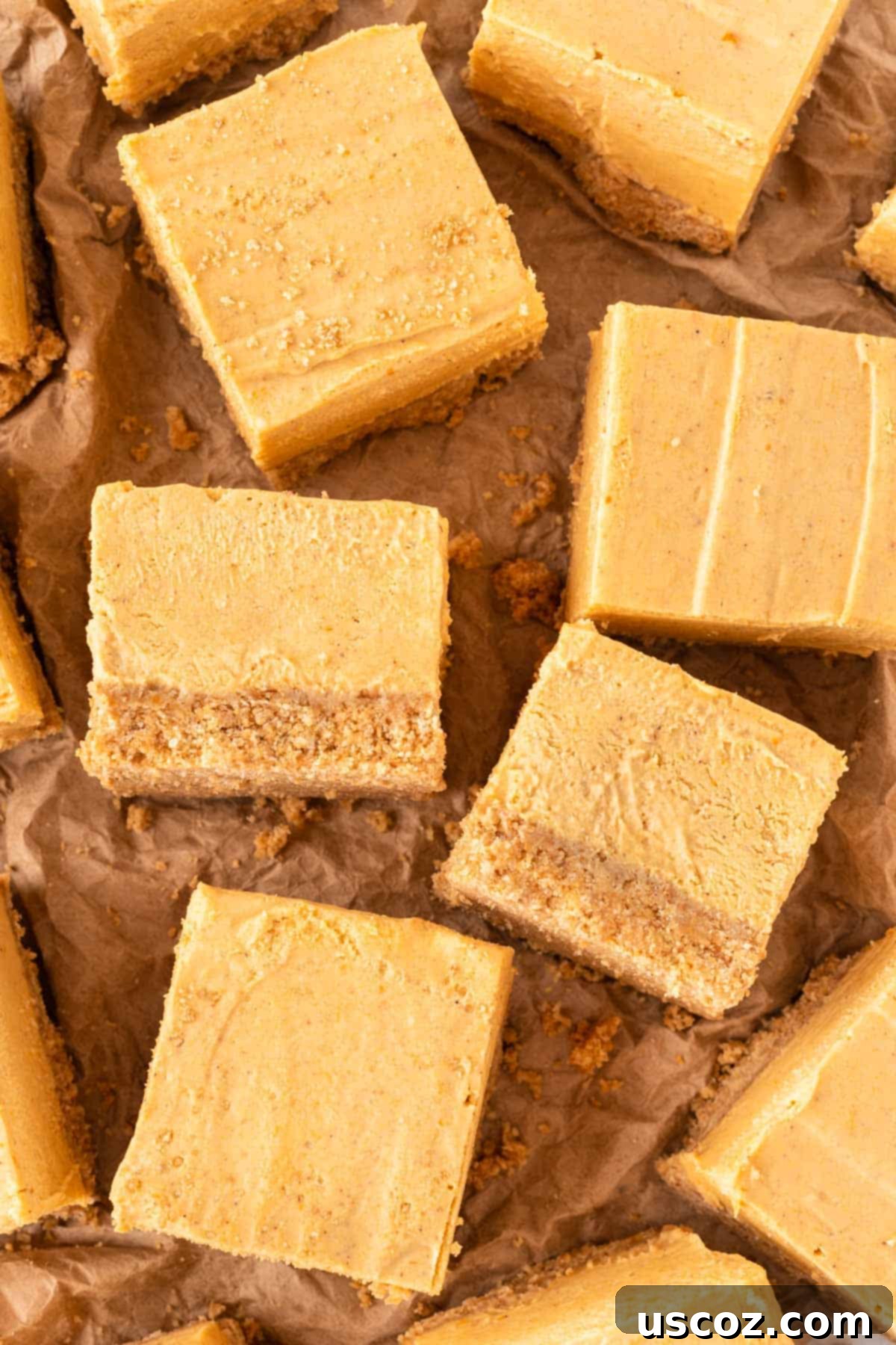 Easy No-Bake Pumpkin Cheesecake Bars 18 a close-up shot of pumpkin cheesecake bars, showing the creamy texture