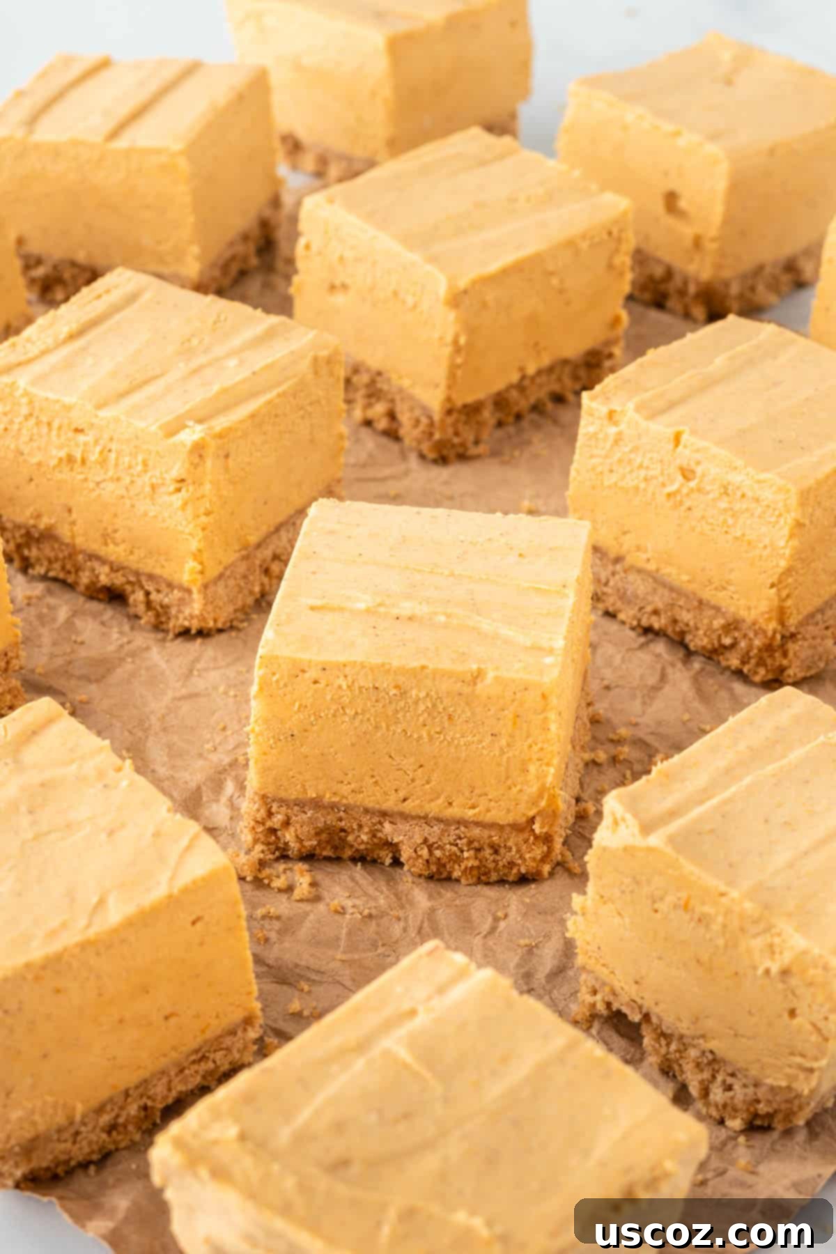 Easy No-Bake Pumpkin Cheesecake Bars 20 a platter of perfectly square pumpkin cheesecake bars, garnished and ready to be served