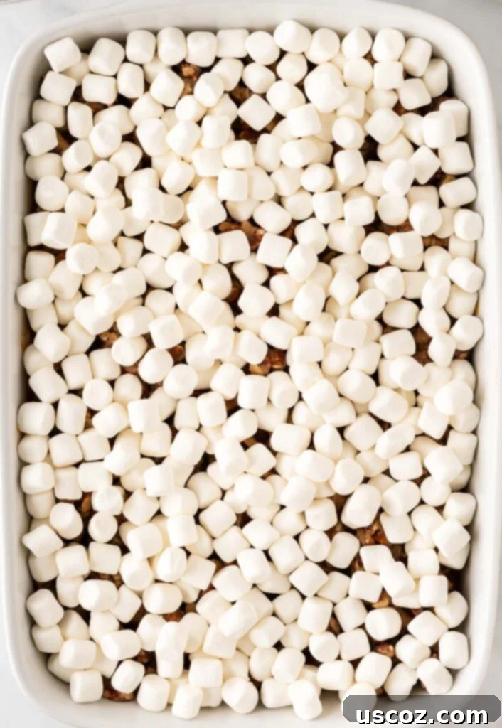 Golden Sweet Potato Marshmallow Bake 16 sweet potato casserole with marshmallows on top