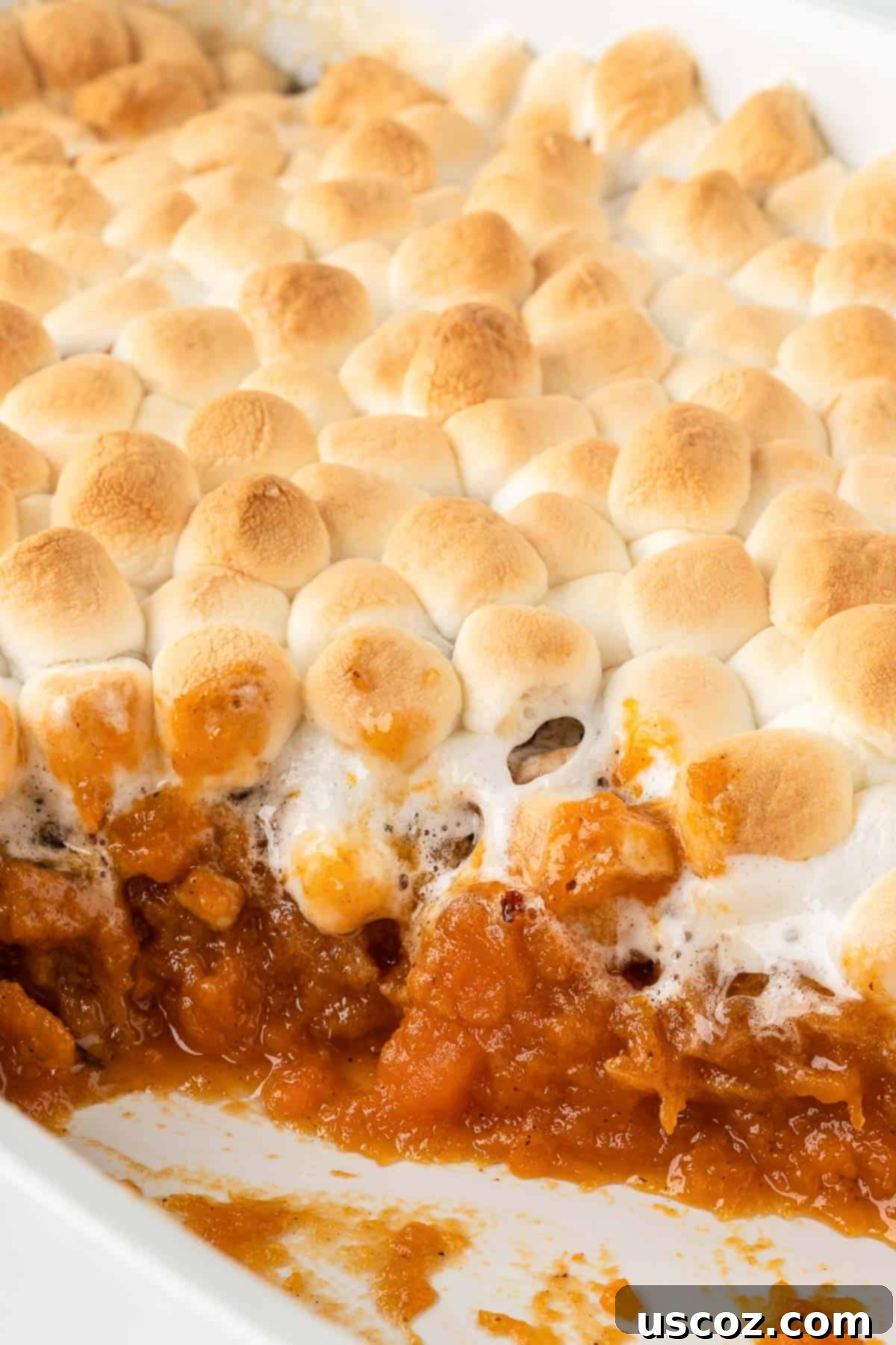 Golden Sweet Potato Marshmallow Bake 19 sweet potato casserole with marshmallows and pecan topping