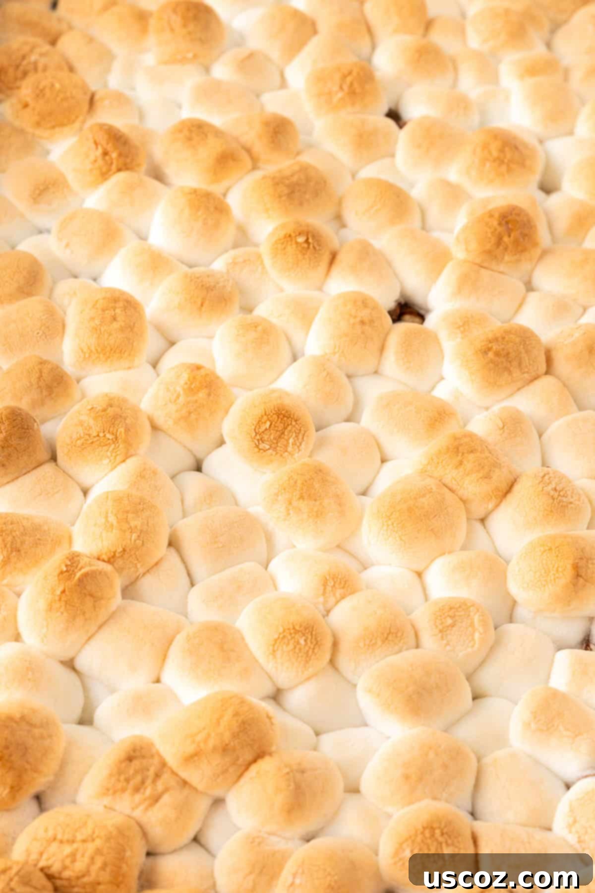 Golden Sweet Potato Marshmallow Bake 3 sweet potato casserole with marshmallows